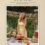 Pre-Order for “HEAL” the Brand New CookBook from Autumn Beres!